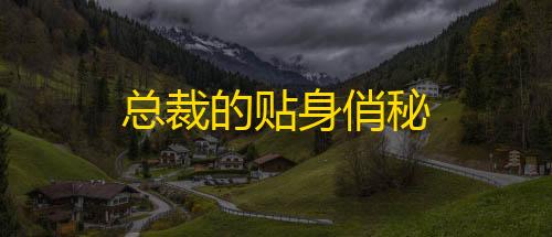 第五人格国际服下载总裁的贴身俏秘